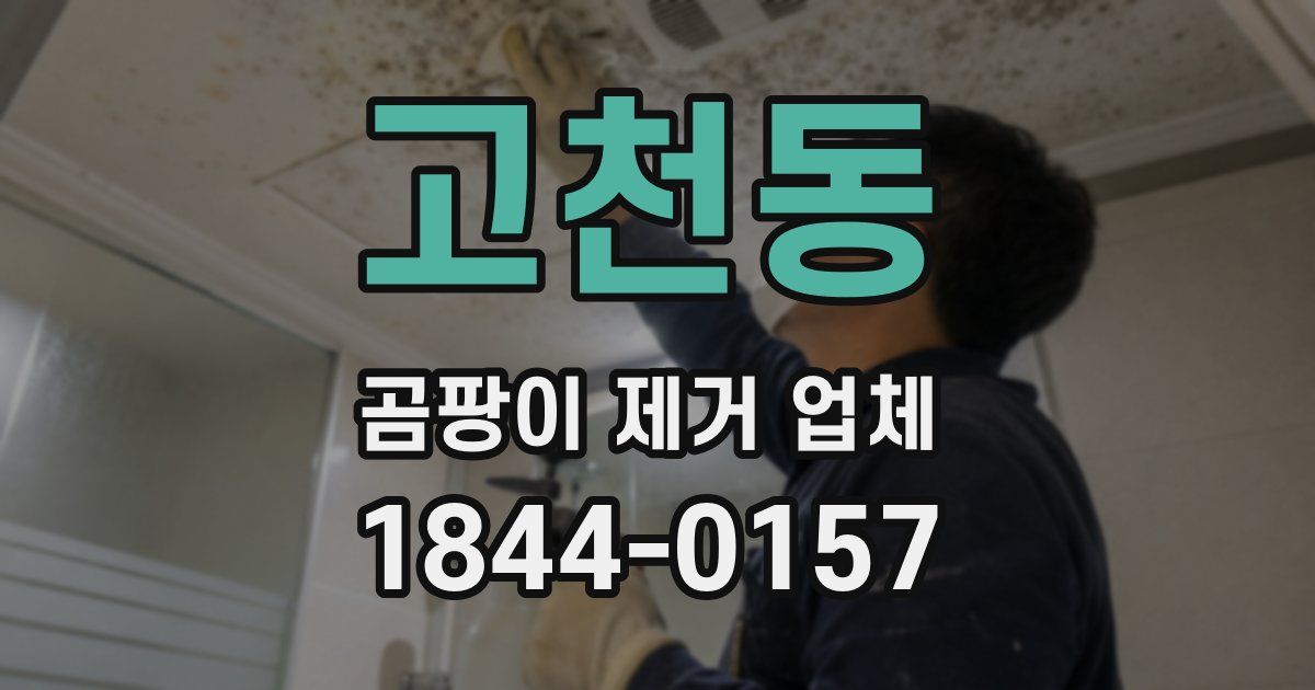 고천동 곰팡이 제거 업체