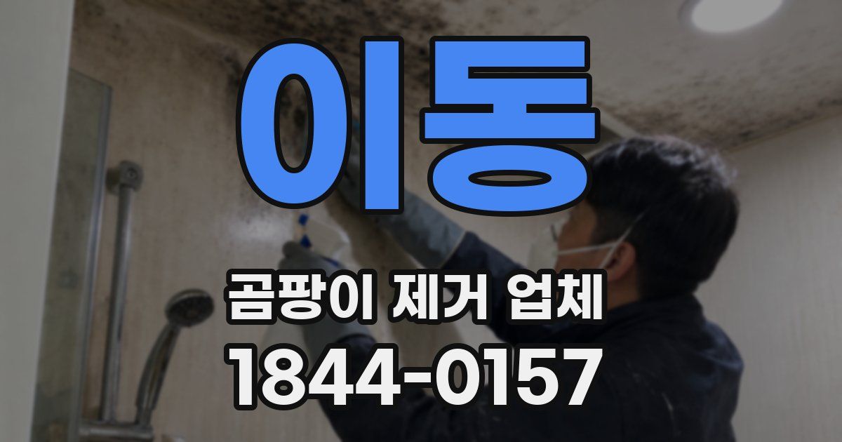 이동 곰팡이 제거 업체