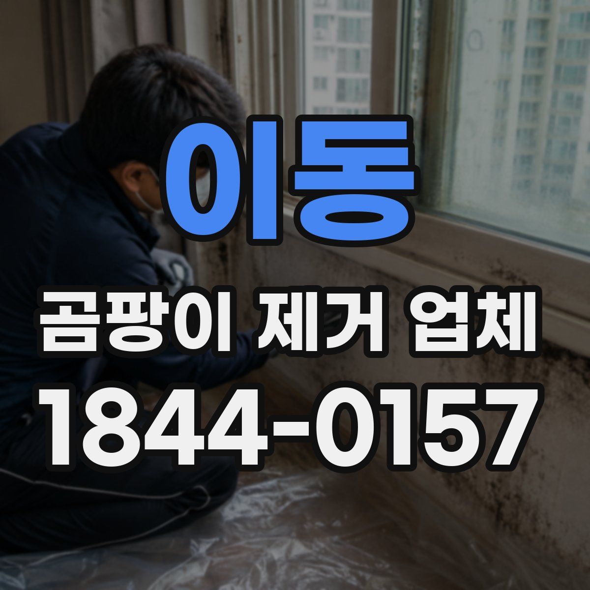 이동 곰팡이 제거 업체