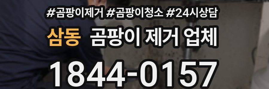 삼동 곰팡이 제거 업체