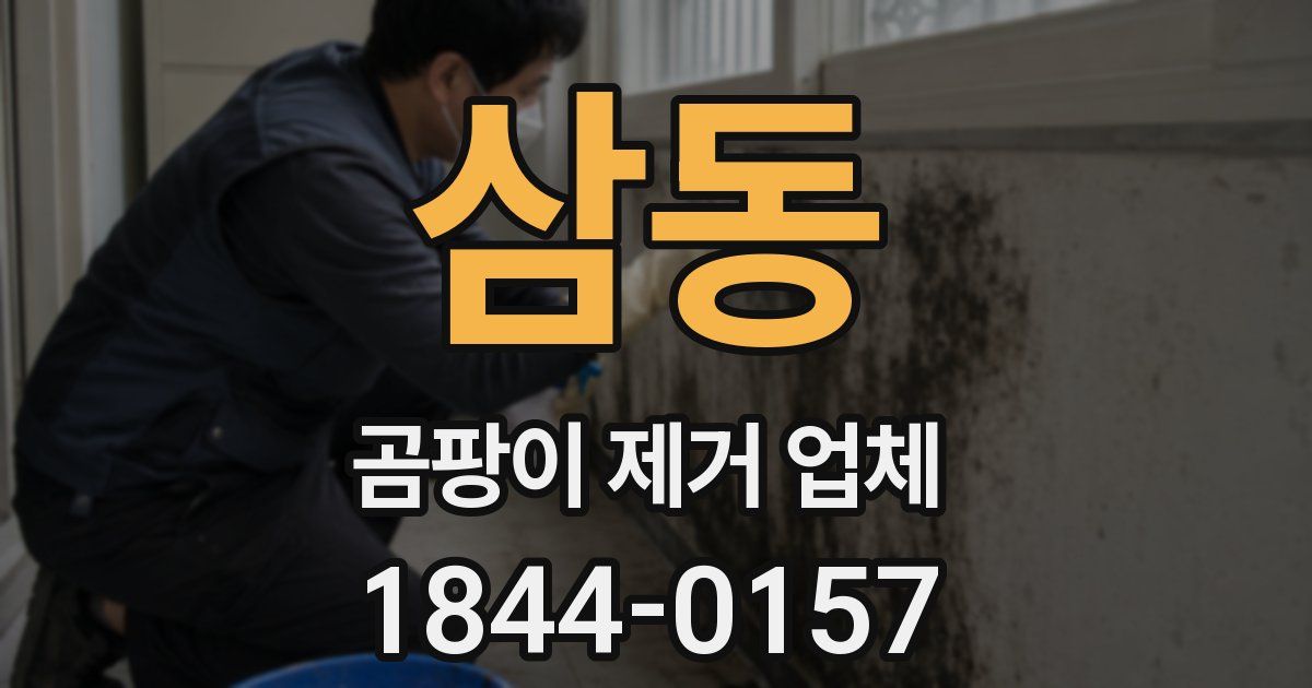 삼동 곰팡이 제거 업체