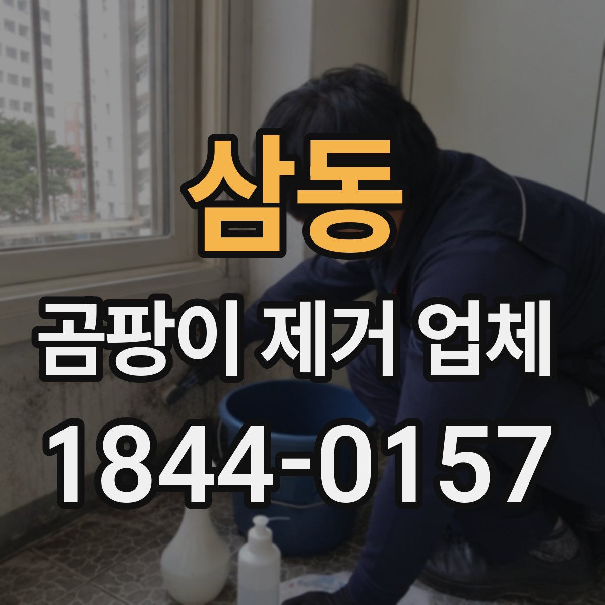 삼동 곰팡이 제거 업체