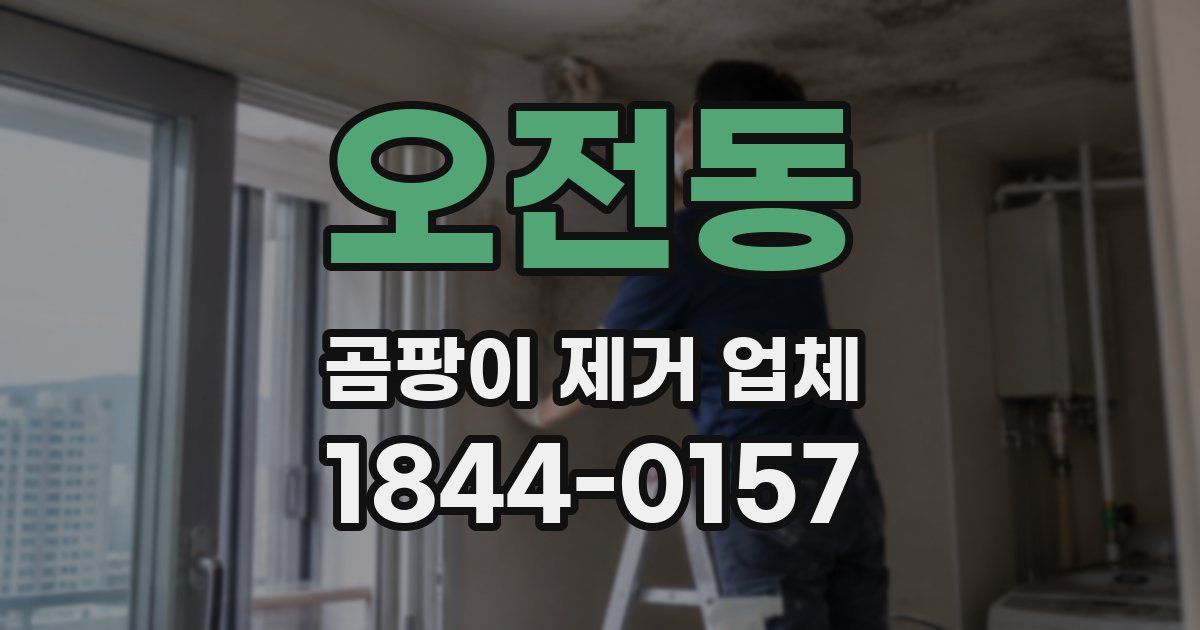 오전동 곰팡이 제거 업체