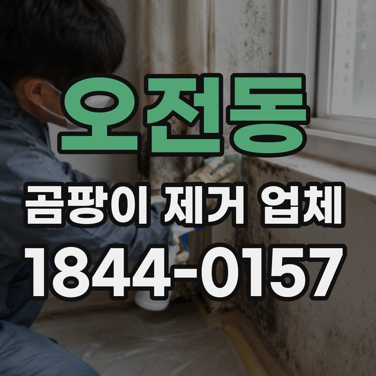 오전동 곰팡이 제거 업체