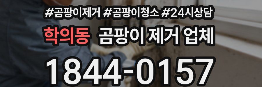학의동 곰팡이 제거 업체