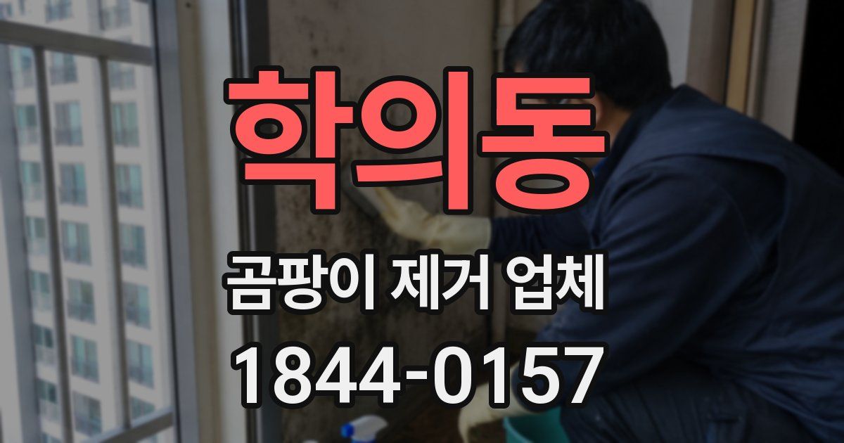 학의동 곰팡이 제거 업체