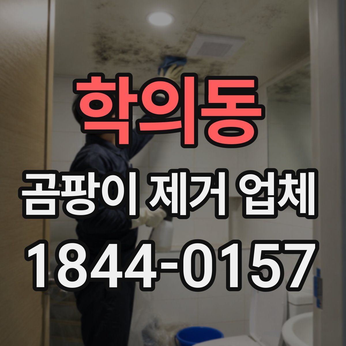 학의동 곰팡이 제거 업체