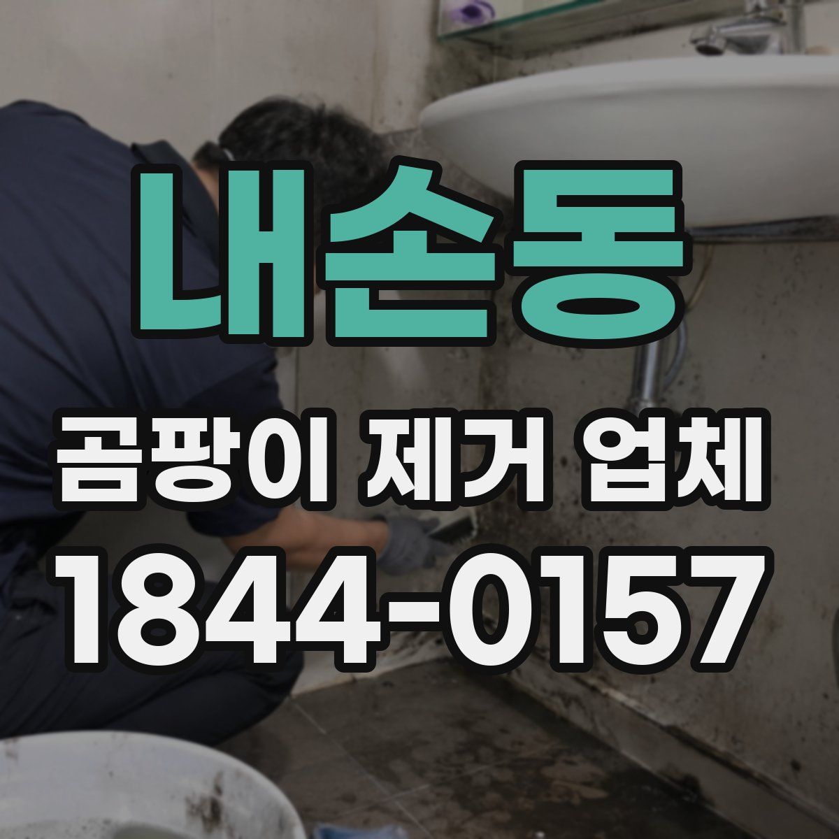 내손동 곰팡이 제거 업체