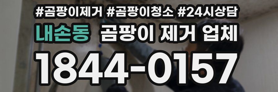 내손동 곰팡이 제거 업체