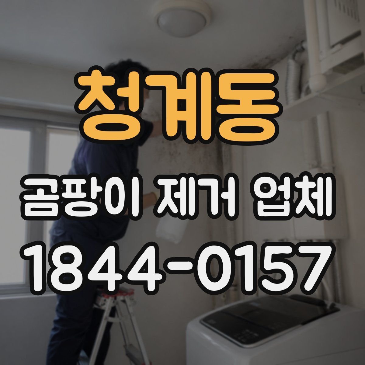 청계동 곰팡이 제거 업체