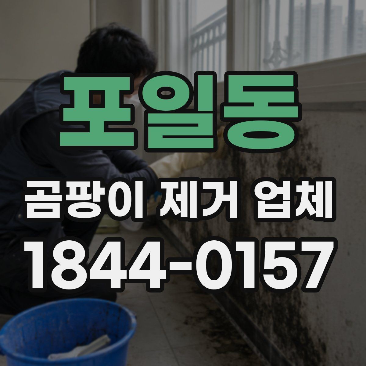 포일동 곰팡이 제거 업체 습도 측정과 환경 점검으로 원인부터 살펴보는 기준