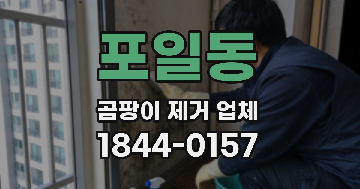 포일동 곰팡이 제거 업체