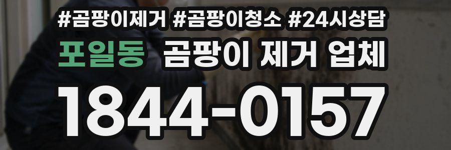 포일동 곰팡이 제거 업체