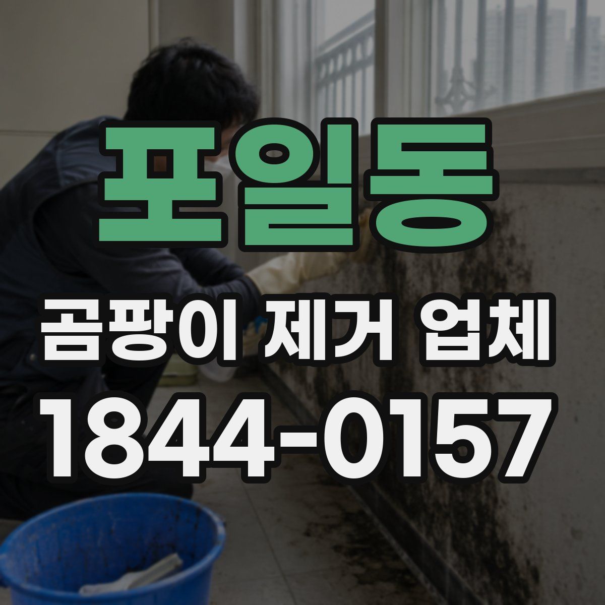 포일동 곰팡이 제거 업체