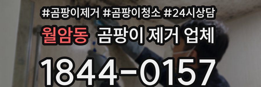 월암동 곰팡이 제거 업체