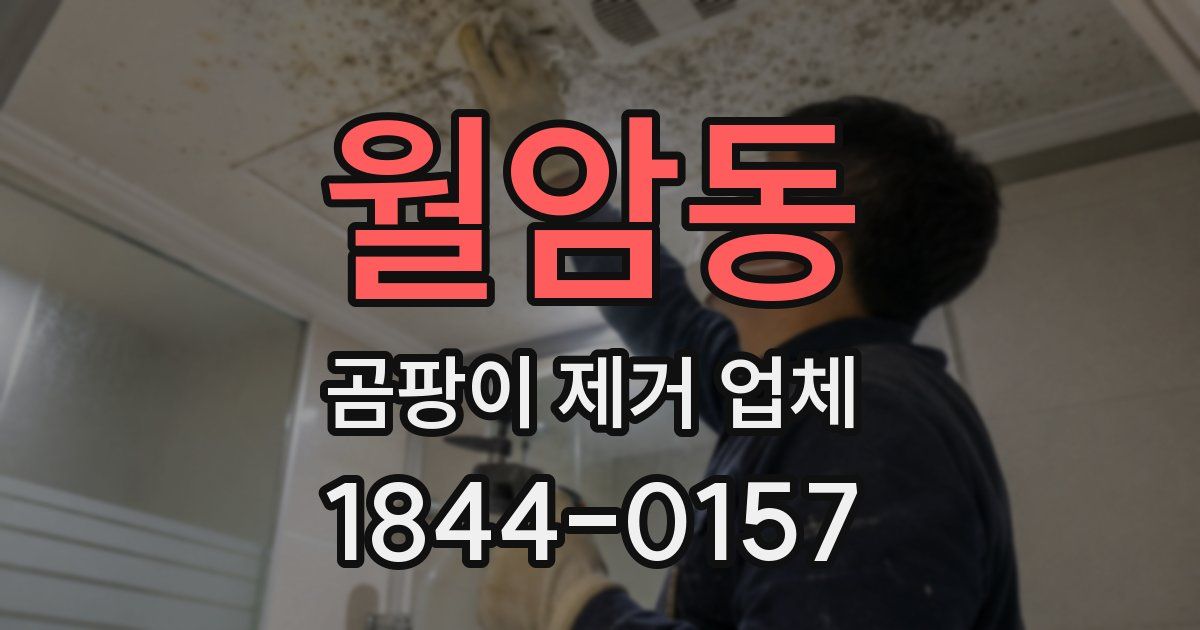 월암동 곰팡이 제거 업체