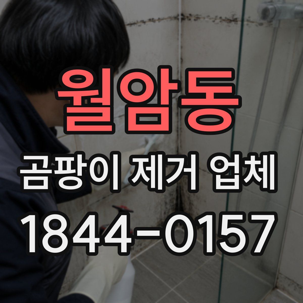 월암동 곰팡이 제거 업체