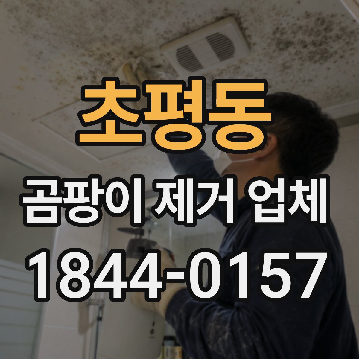 초평동 곰팡이 제거 업체