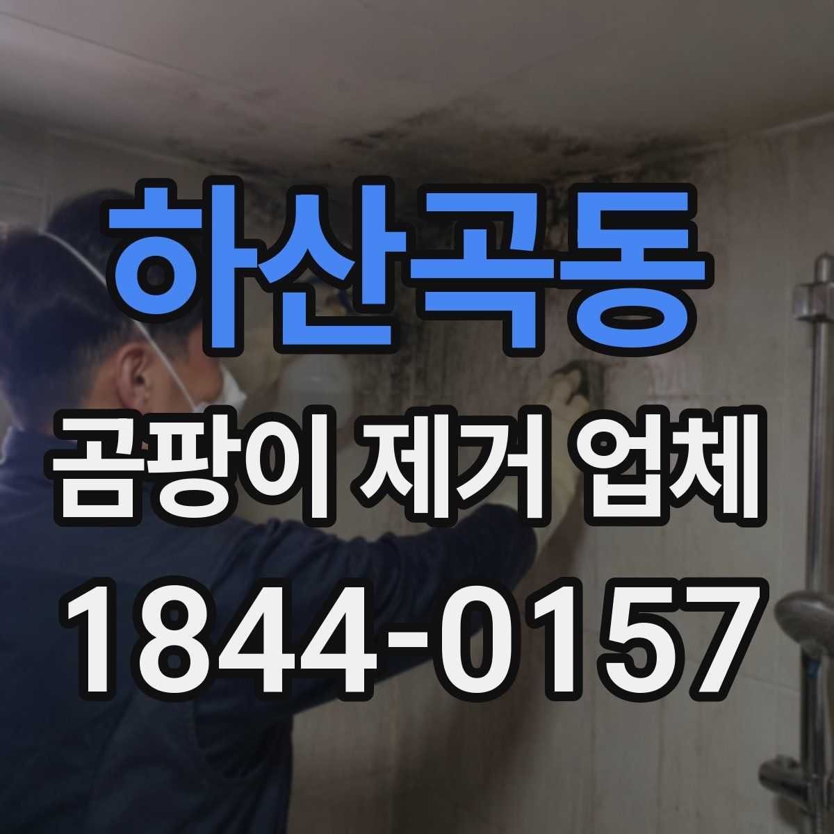 하산곡동 곰팡이 제거 업체