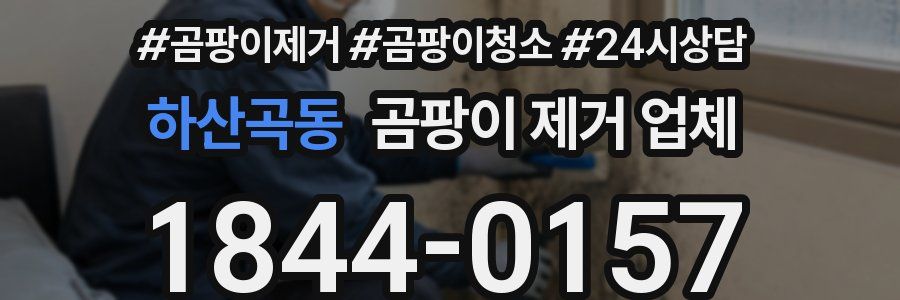 하산곡동 곰팡이 제거 업체