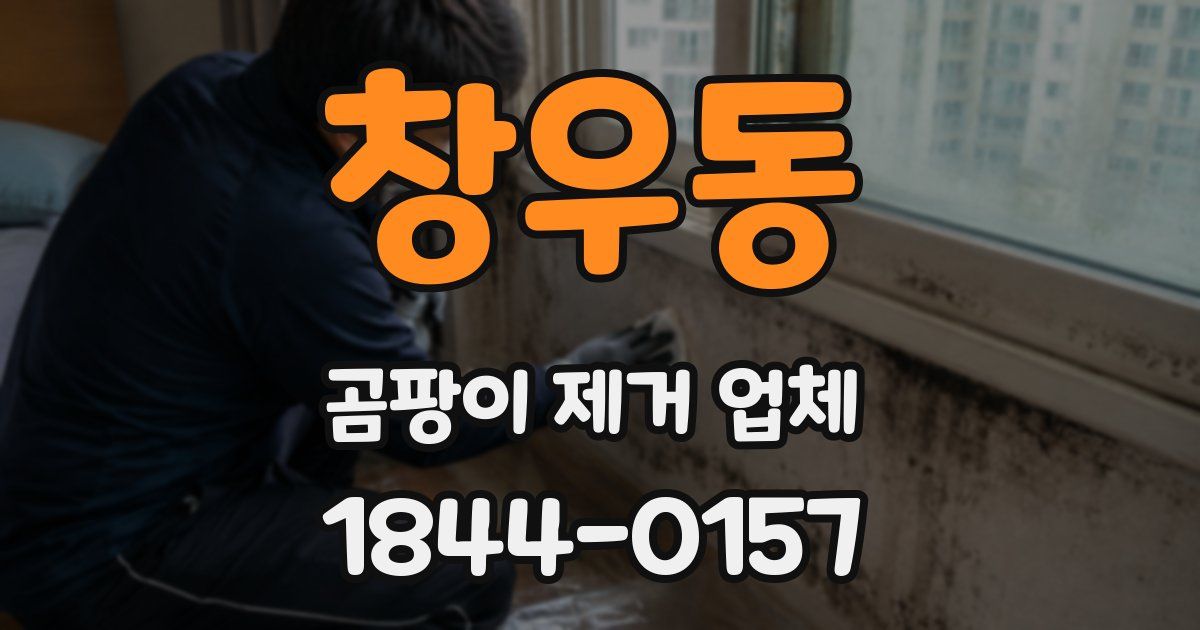 창우동 곰팡이 제거 업체