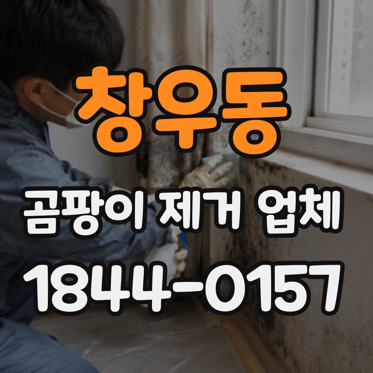 창우동 곰팡이 제거 업체