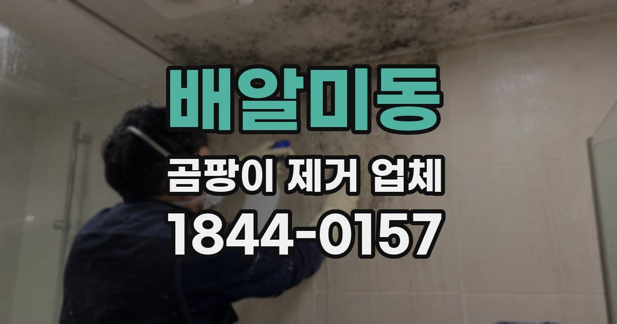 배알미동 곰팡이 제거 업체