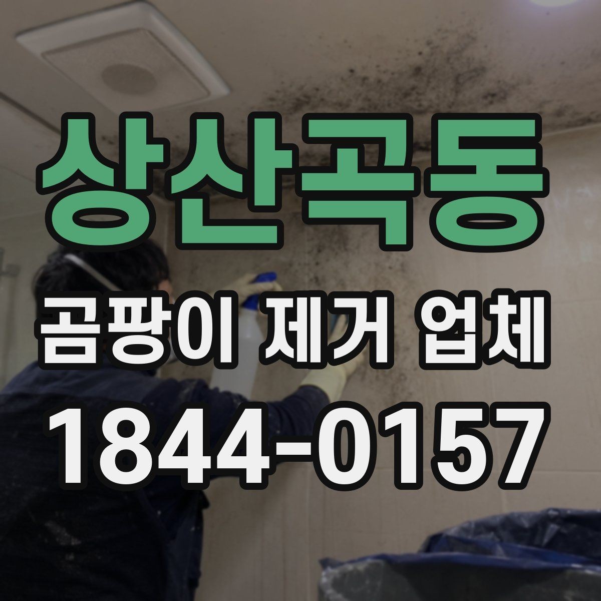 상산곡동 곰팡이 제거 업체 누수 흔적과 습기 원인을 함께 점검하는 이유