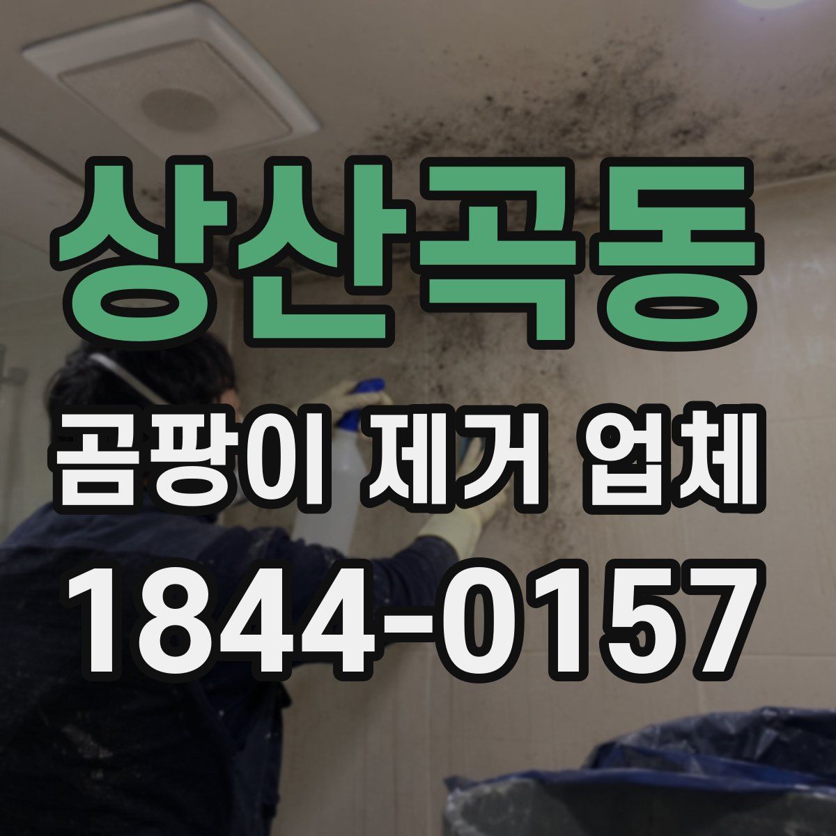 상산곡동 곰팡이 제거 업체