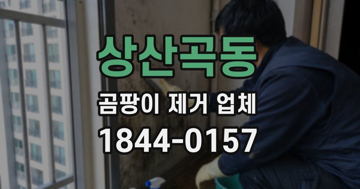 상산곡동 곰팡이 제거 업체