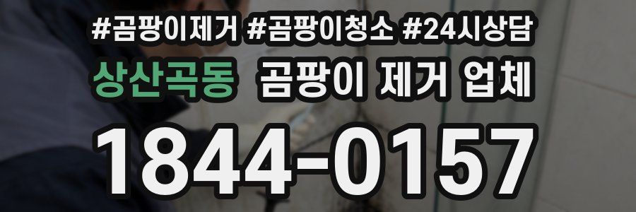 상산곡동 곰팡이 제거 업체