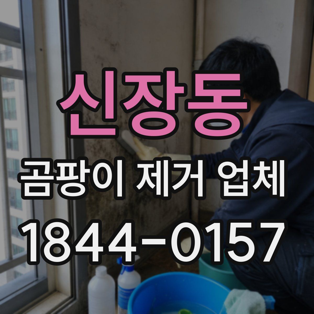 신장동 곰팡이 제거 업체