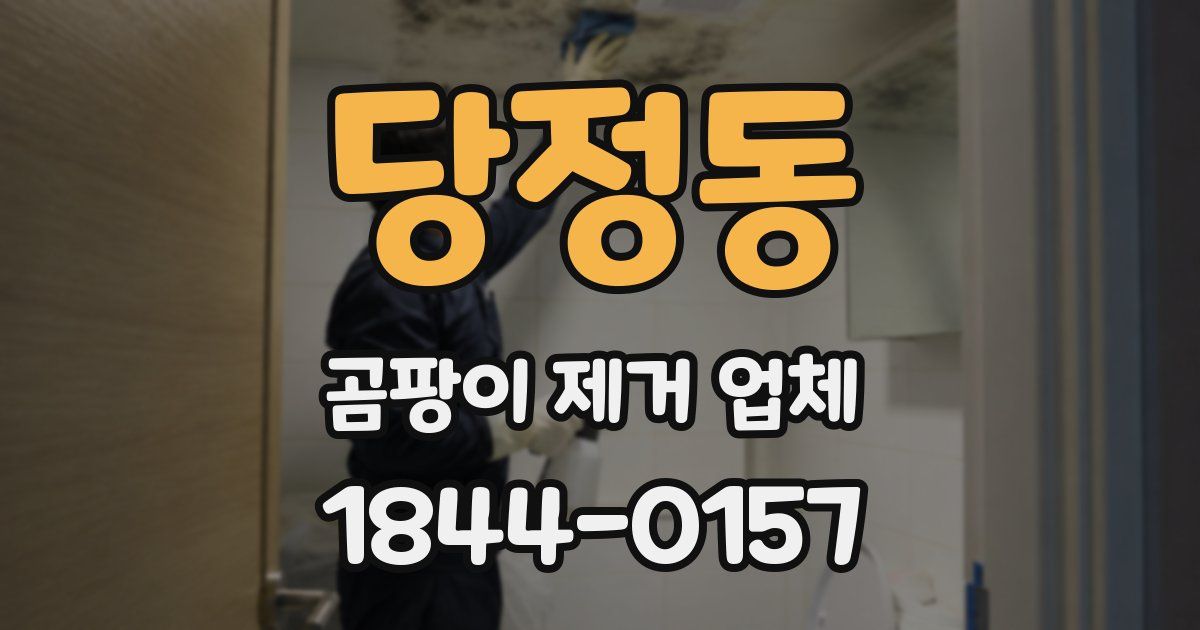 당정동 곰팡이 제거 업체