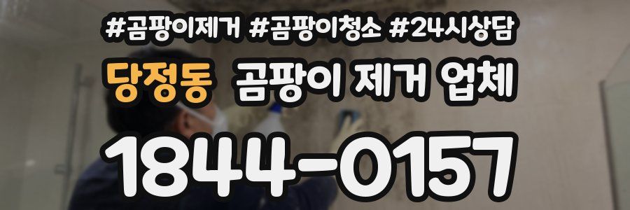 당정동 곰팡이 제거 업체