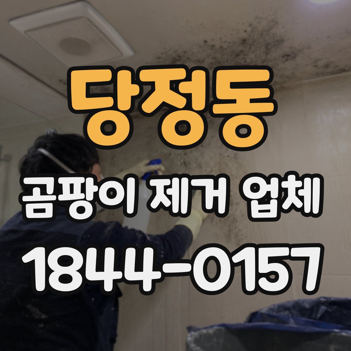당정동 곰팡이 제거 업체