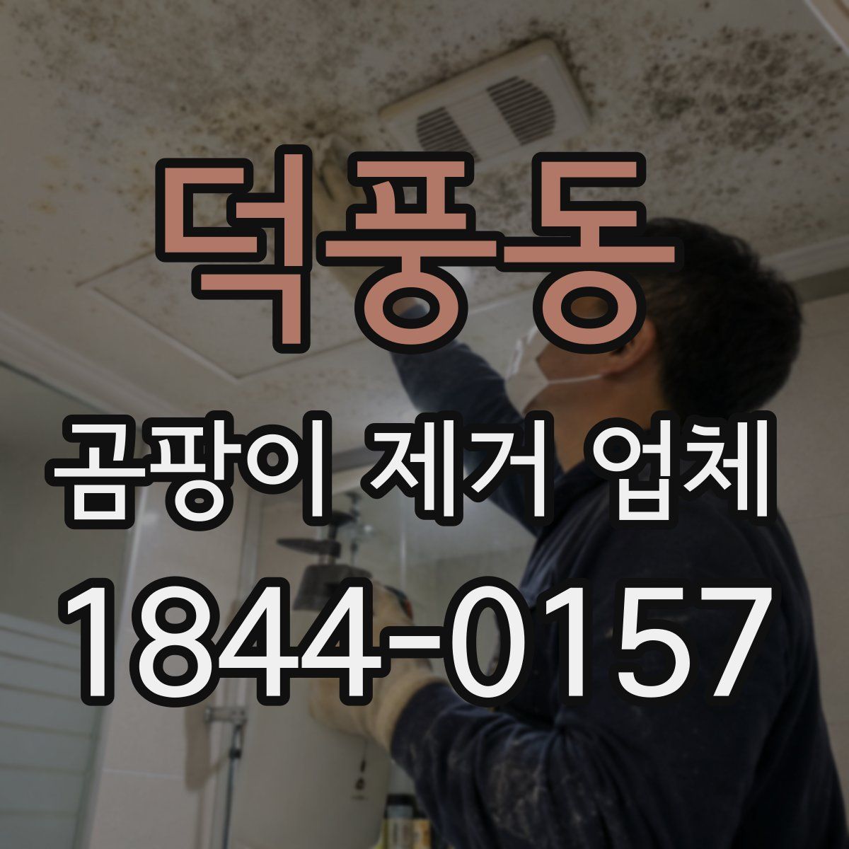 덕풍동 곰팡이 제거 업체