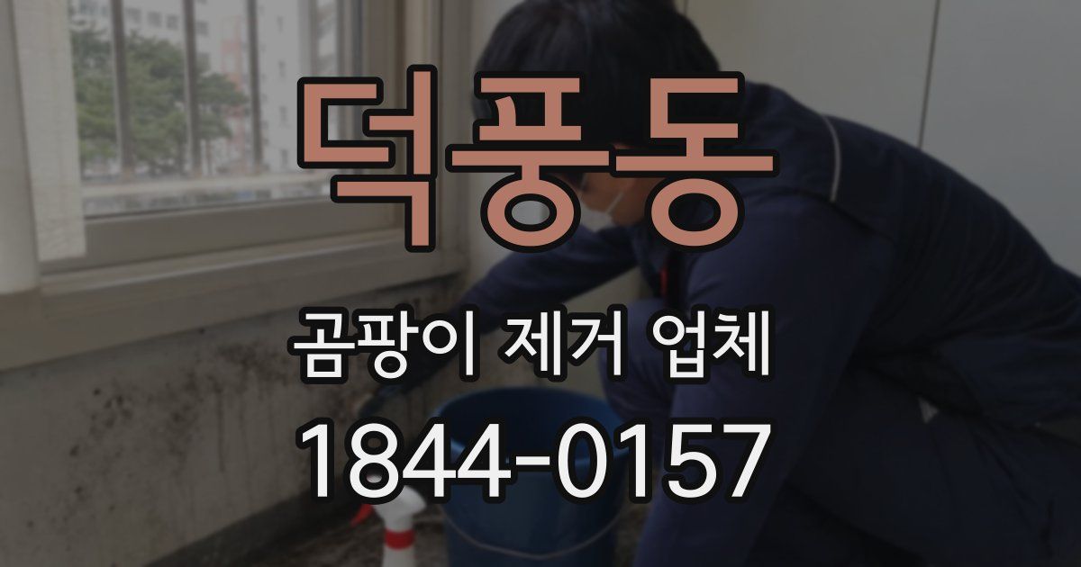 덕풍동 곰팡이 제거 업체