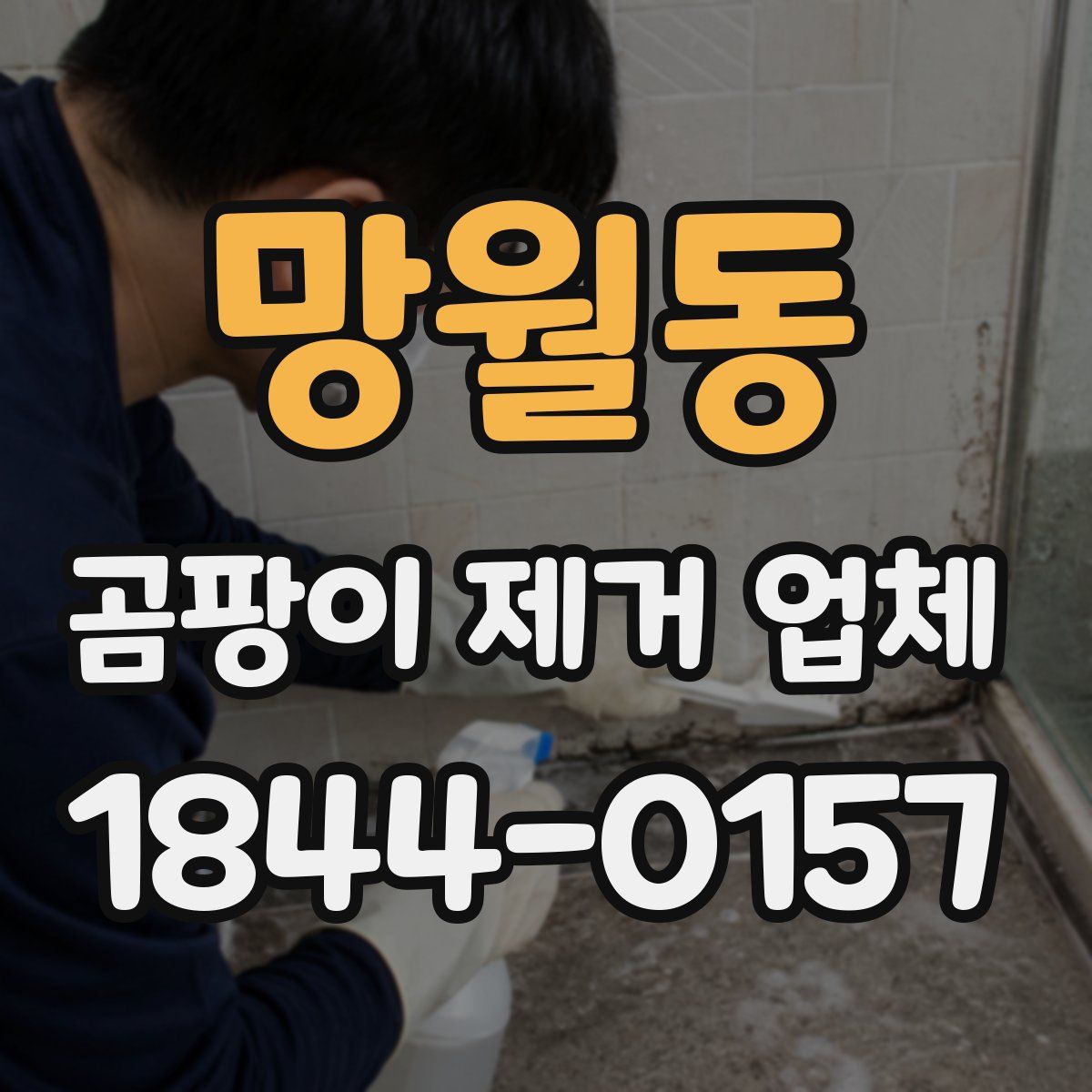 망월동 곰팡이 제거 업체