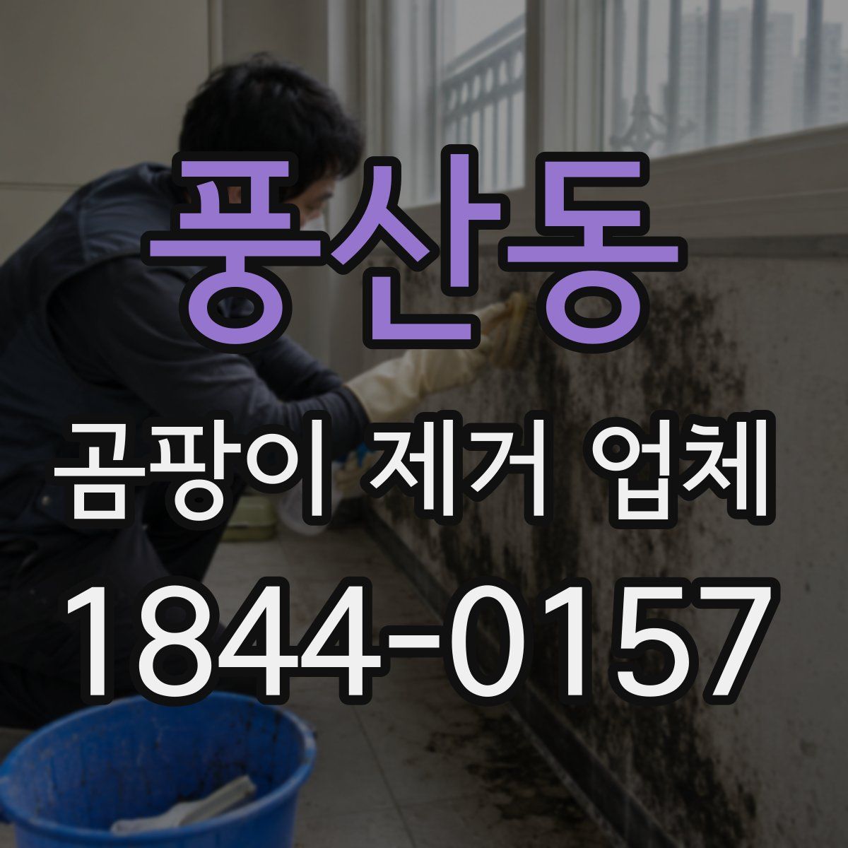 풍산동 곰팡이 제거 업체