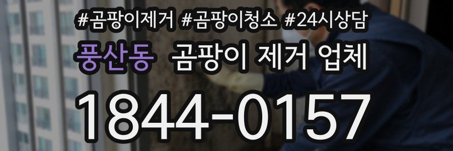 풍산동 곰팡이 제거 업체