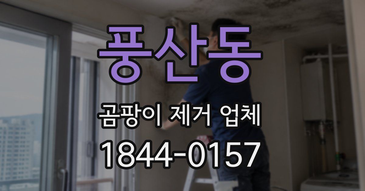 풍산동 곰팡이 제거 업체