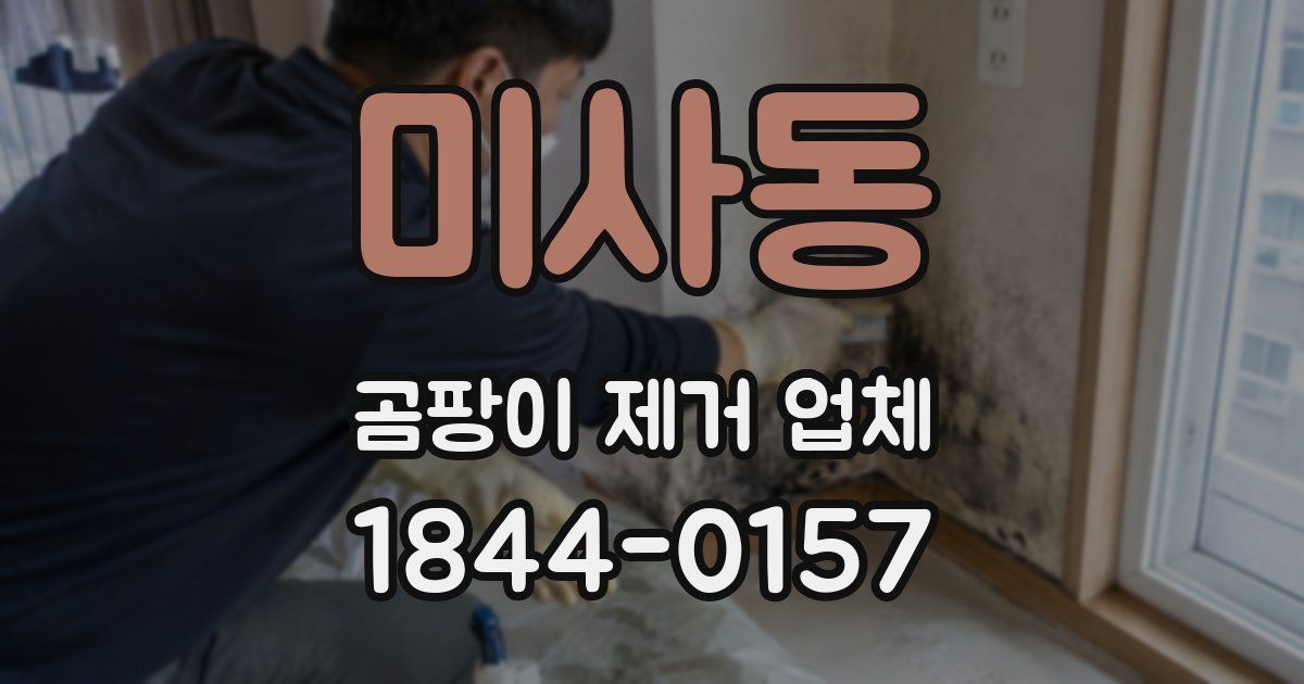 미사동 곰팡이 제거 업체