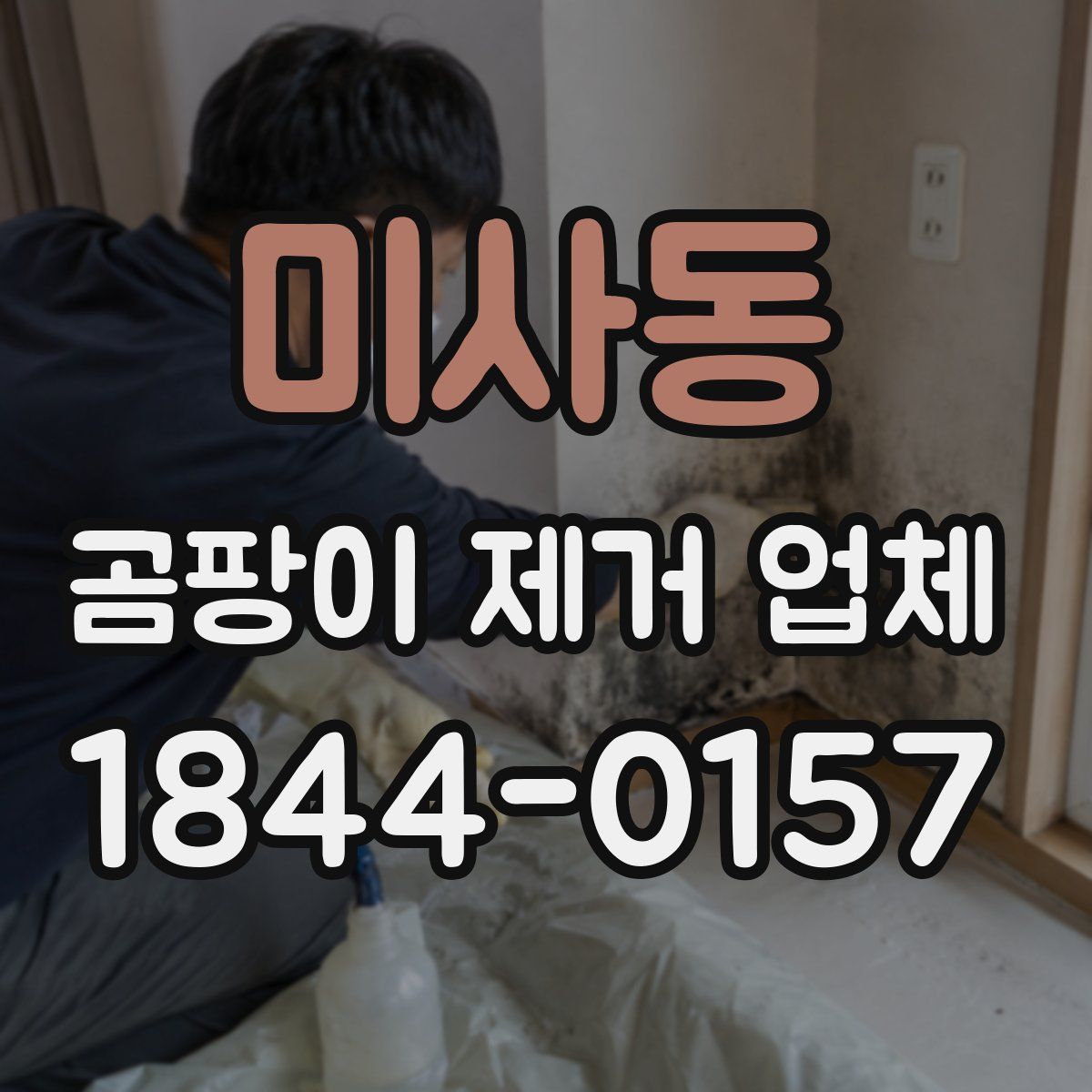 미사동 곰팡이 제거 업체