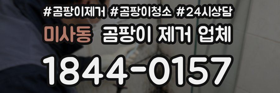 미사동 곰팡이 제거 업체