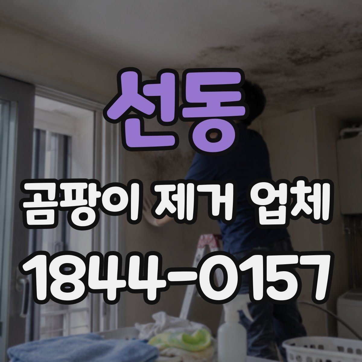 선동 곰팡이 제거 업체 욕실 틈새와 창틀 구석을 놓치지 않는 방법
