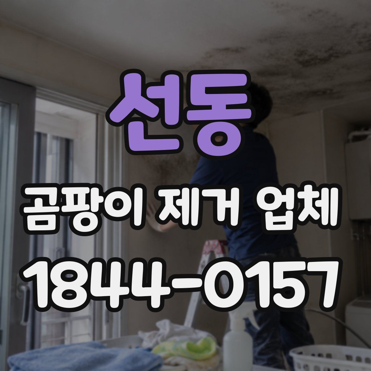 선동 곰팡이 제거 업체