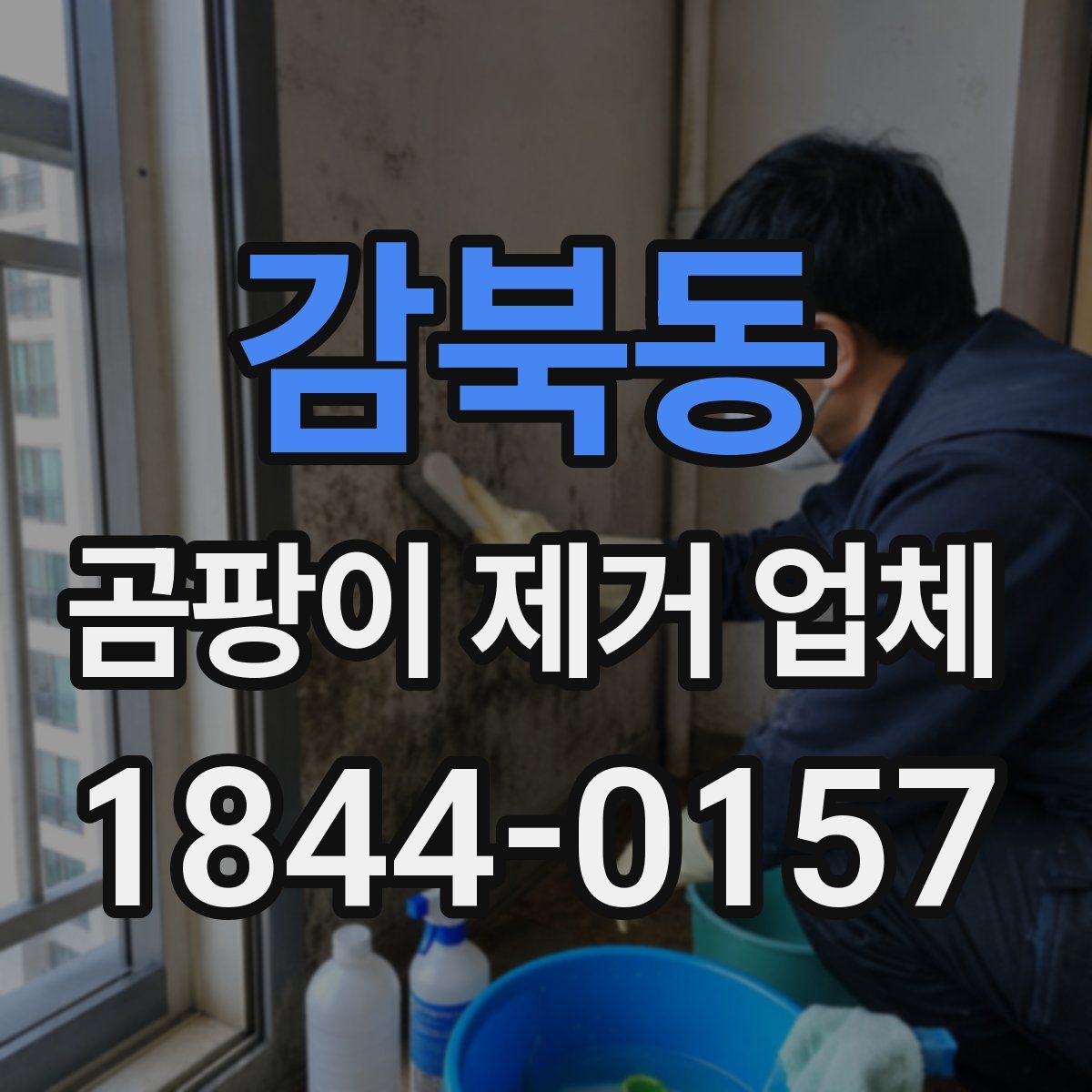 감북동 곰팡이 제거 업체