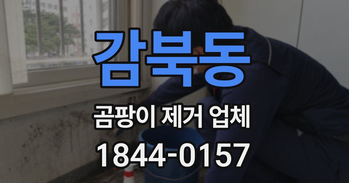 감북동 곰팡이 제거 업체