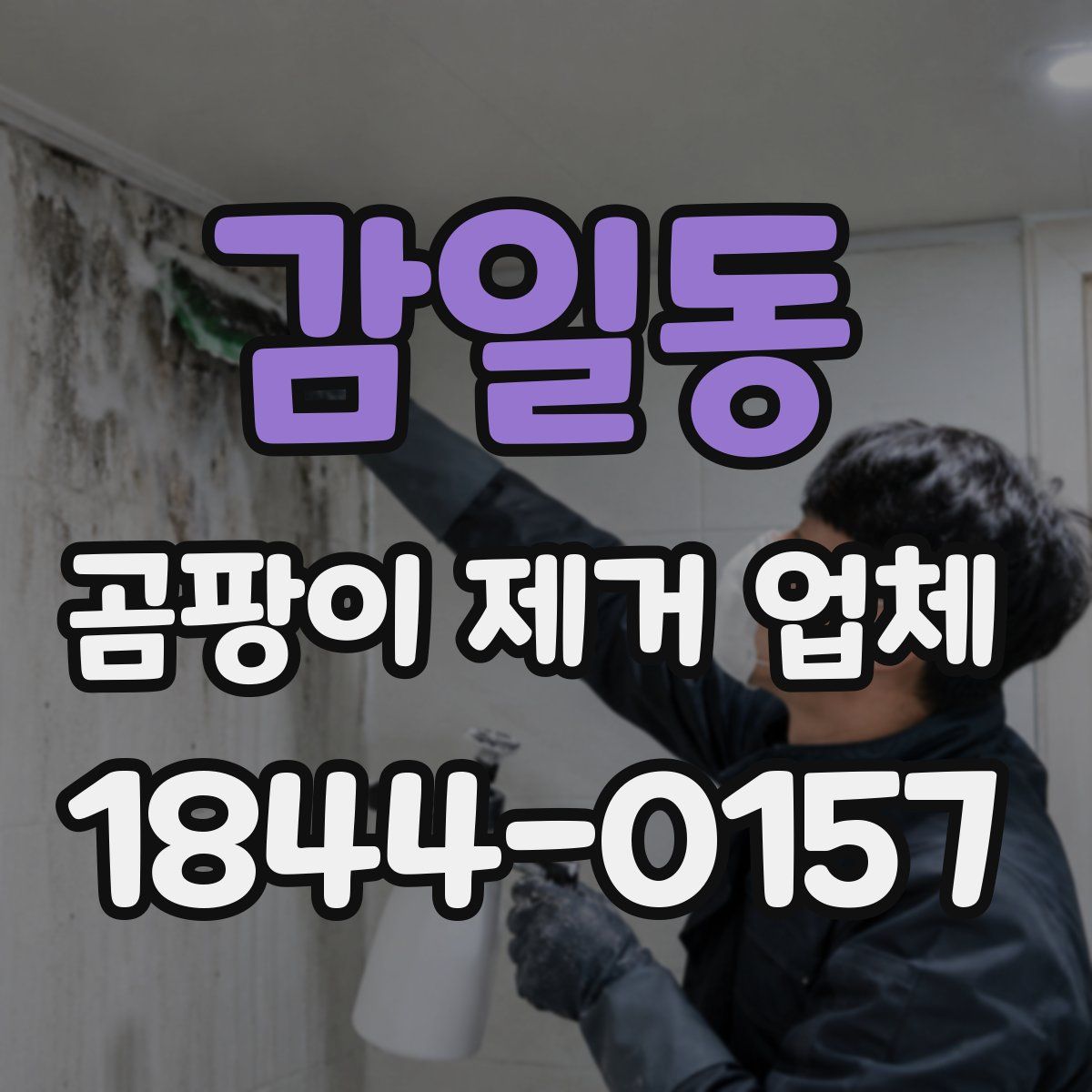 감일동 곰팡이 제거 업체