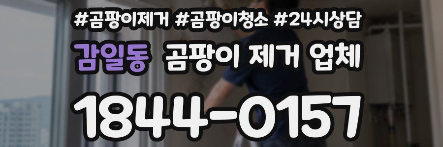 감일동 곰팡이 제거 업체